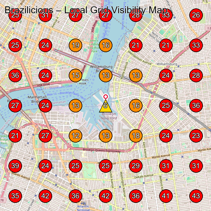 Brazilicious GeoGrid visibility map for Frozen Food Manufacturer in New York